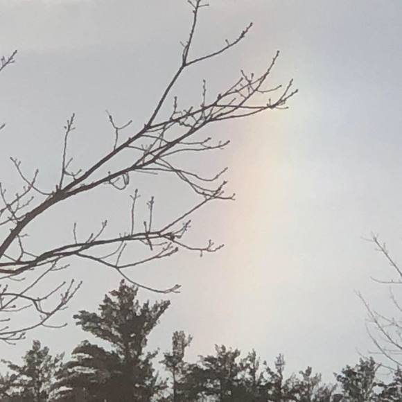 Meet your Posher, Tina - Picture 1 of 1